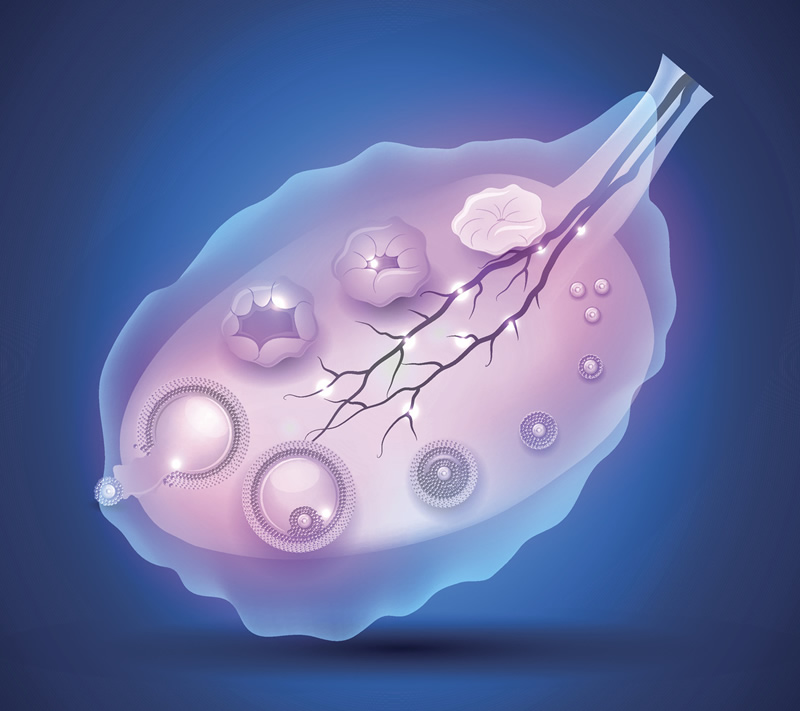 2026年浙大一院未婚单身试管助孕价格表一览！
